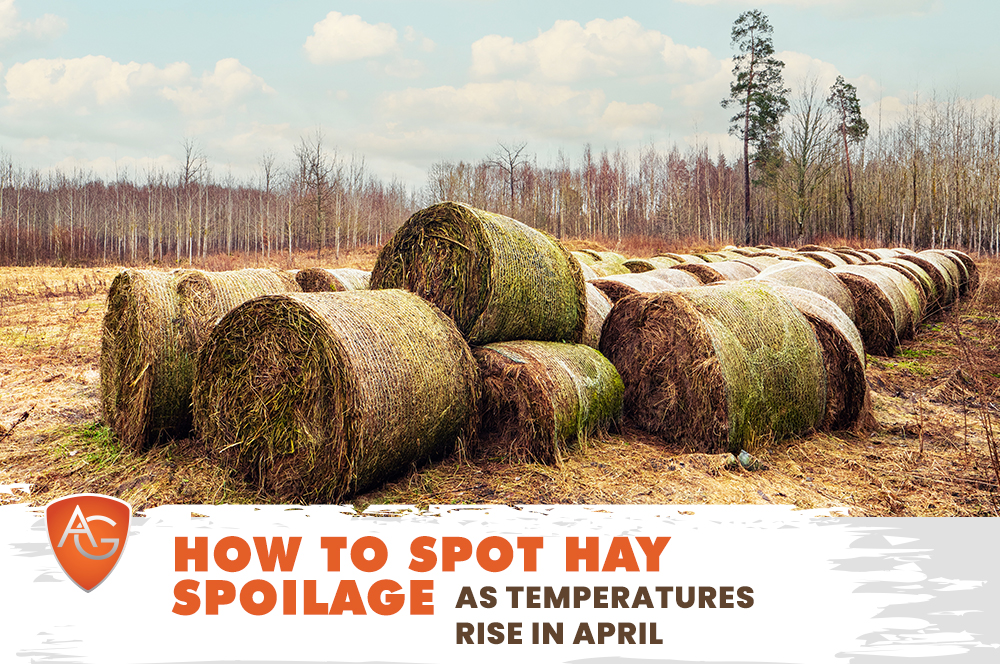 Hay Spoilage