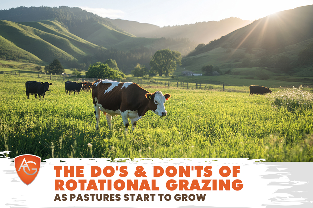 Rotational Grazing