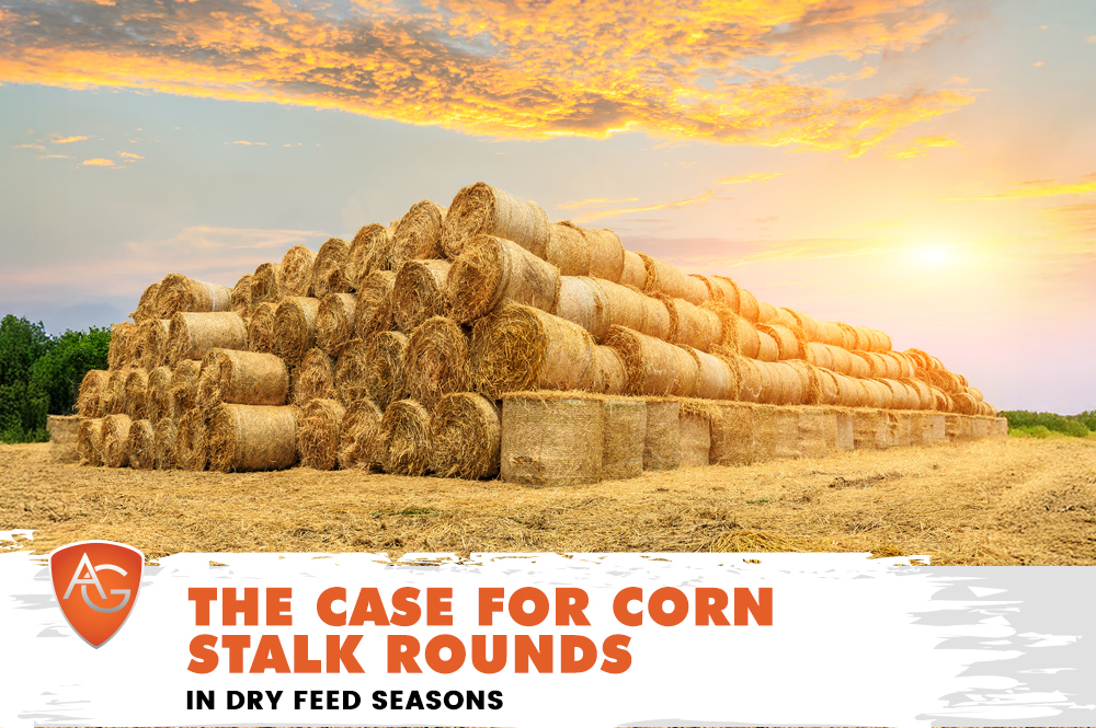 Corn Stalk Rounds