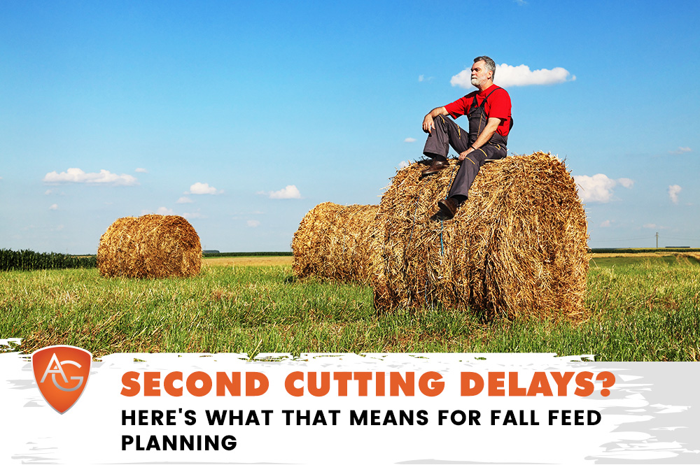 Fall Feed Planning