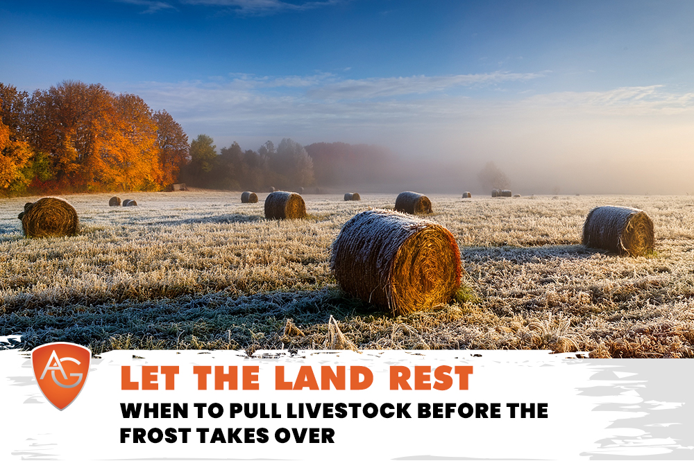 Land Rest