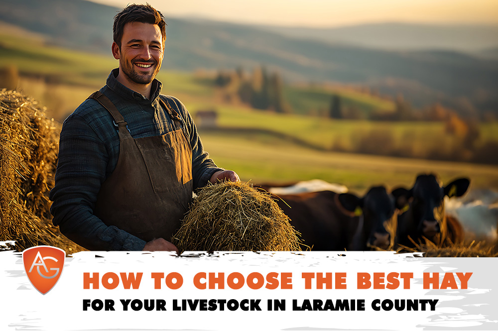 Best Hay in Laramie County