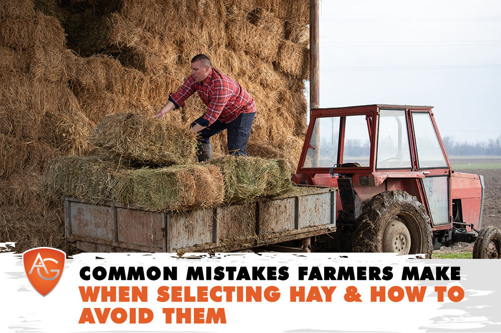 Selecting Hay
