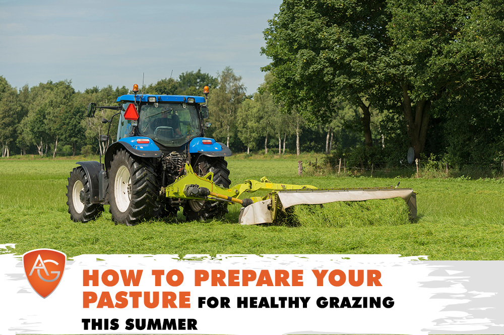 Healthy Grazing