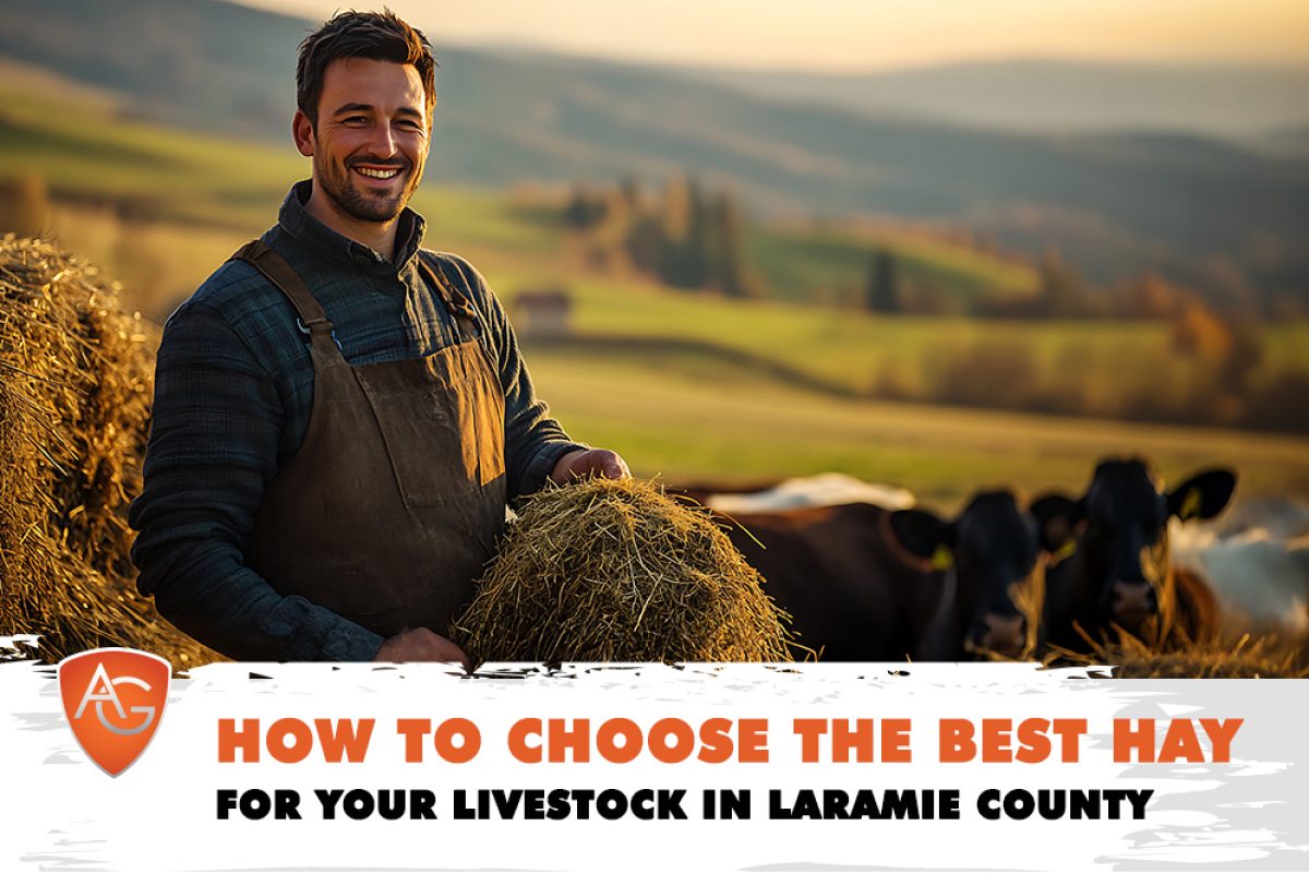 Best Hay in Laramie County