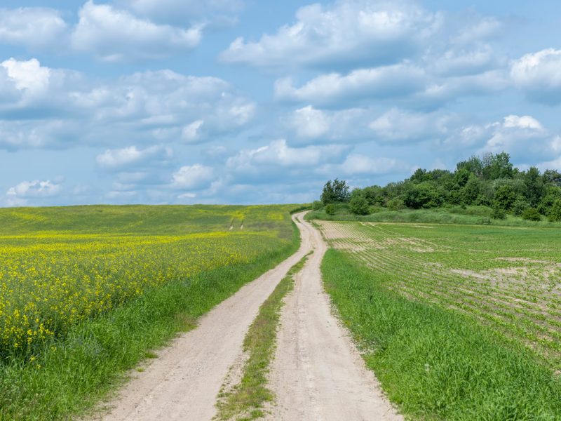 Large Acreage Mowing