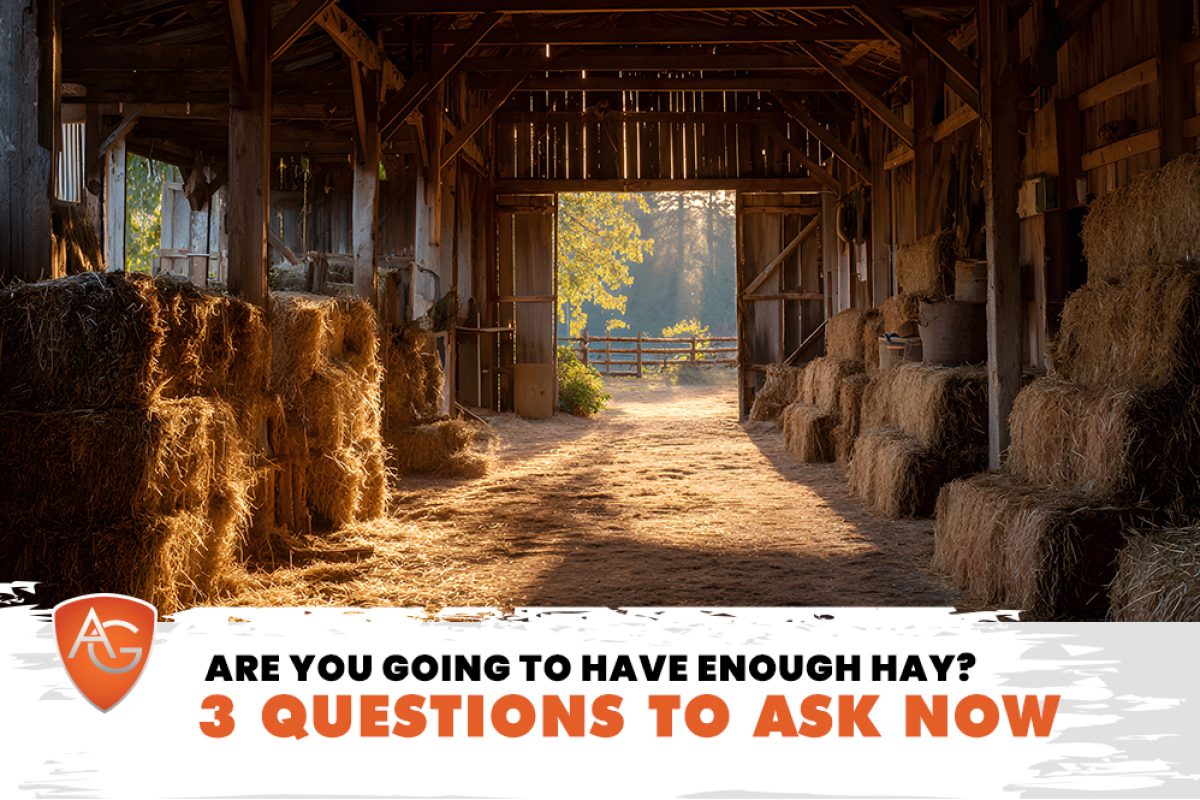 Have Enough Hay