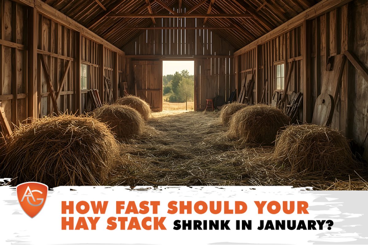 Hay Stack