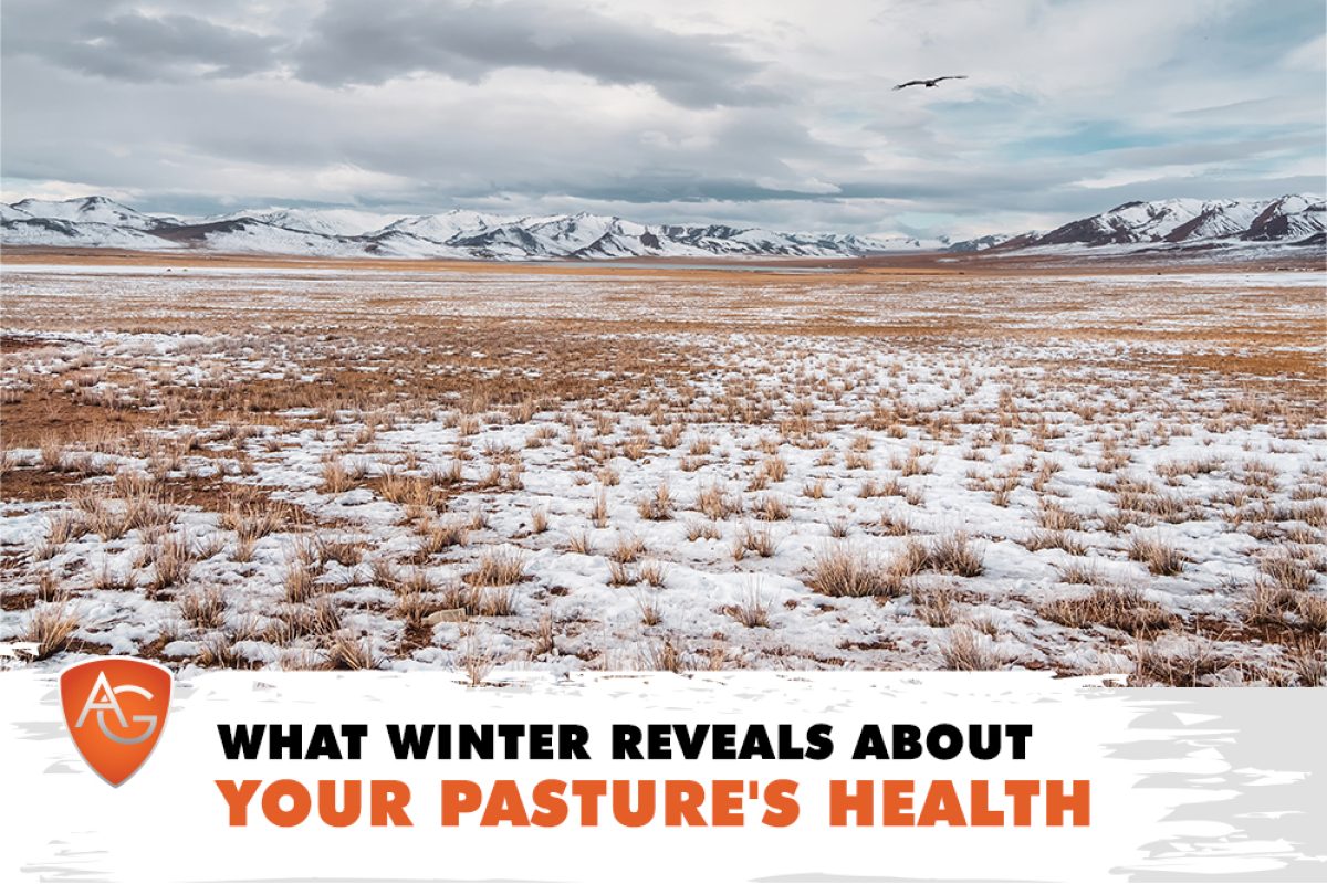 Pasture Health