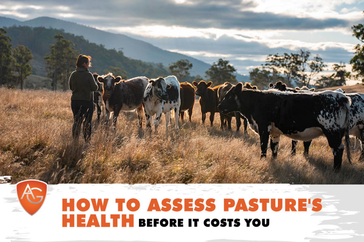 Pasture's Health