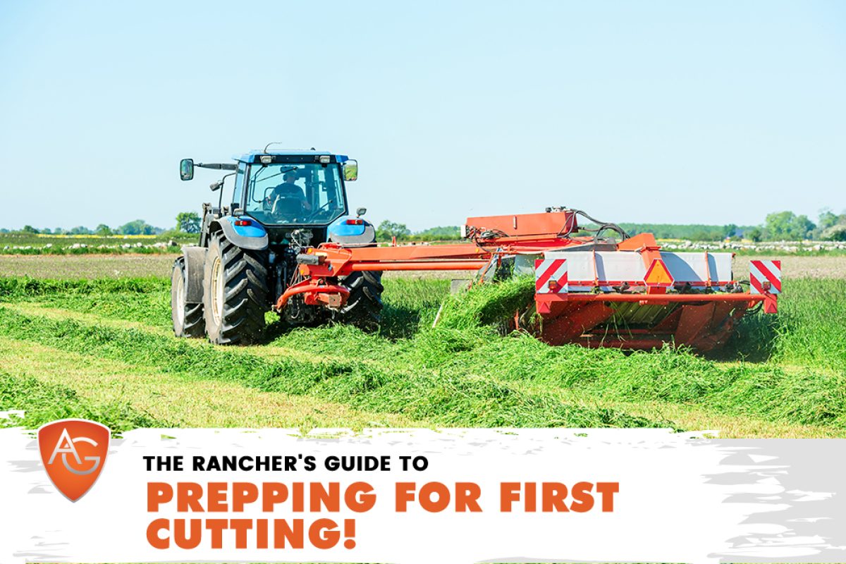 Rancher's Guide
