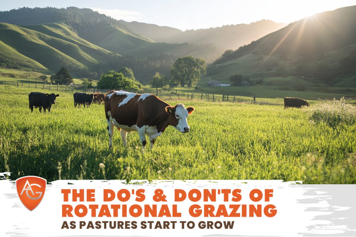 Rotational Grazing