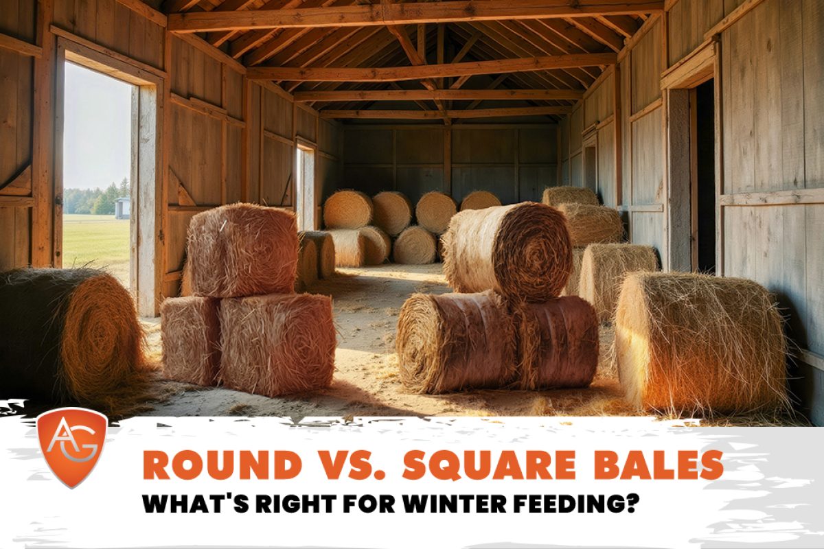 Round vs Square Bales