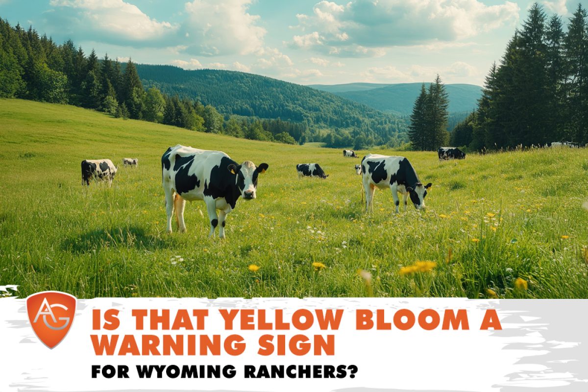 Wyoming Ranchers